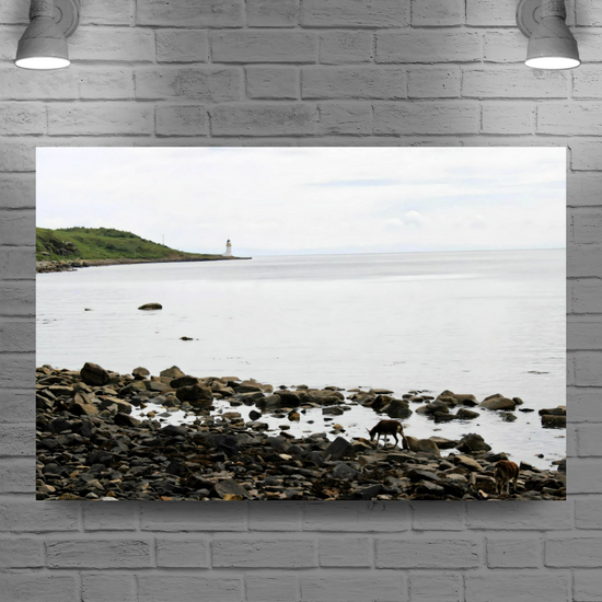 Canvas Art. Scottish Landscapes & Seascapes. Holy Isle. Firth of Clyde. Isle of Arran. Scotland.