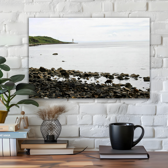 Canvas Art. Scottish Landscapes & Seascapes. Holy Isle. Firth of Clyde. Isle of Arran. Scotland.