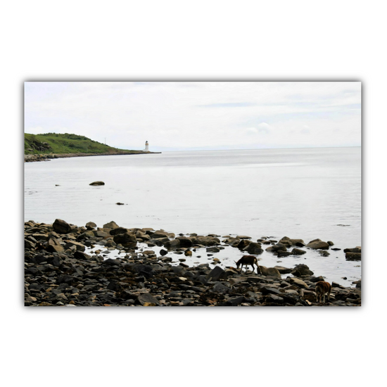 Canvas Art. Scottish Landscapes & Seascapes. Holy Isle. Firth of Clyde. Isle of Arran. Scotland.