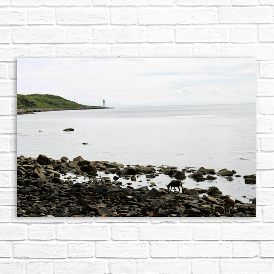 Canvas Art. Scottish Landscapes & Seascapes. Holy Isle. Firth of Clyde. Isle of Arran. Scotland.