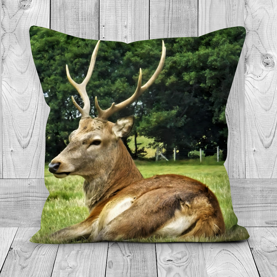 Canvas Art. Luxury Handmade Double Sided Poly Linen Cushions. Lochranza.  Isle of Arran. Scotland.