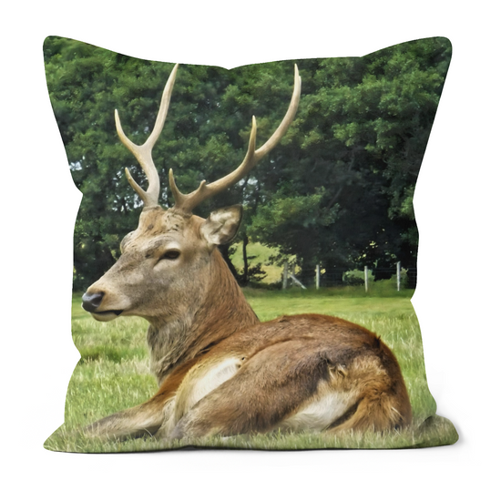 Canvas Art. Luxury Handmade Double Sided Poly Linen Cushions. Lochranza.  Isle of Arran. Scotland.