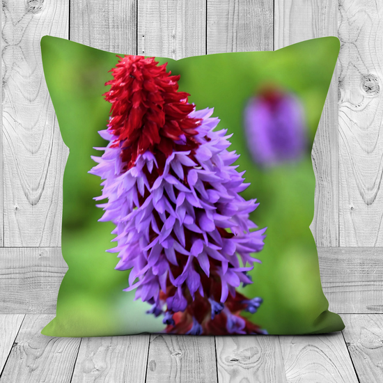 Canvas Art. Luxury Handmade Double Sided Poly Linen Cushions. Brodick Castle Gardens. Isle of Arran. Scotland.