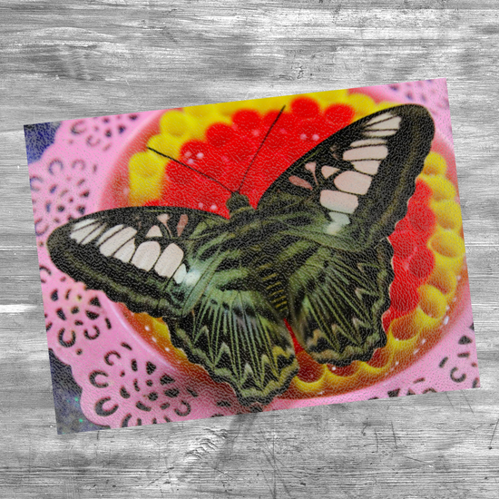 Animals & Nature. The Stylish Textured Glass Chopping Board. Butterfly House. Varna. Bulgaria.