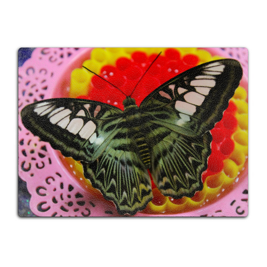 Animals & Nature. The Stylish Textured Glass Chopping Board. Butterfly House. Varna. Bulgaria.