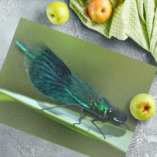 Animals & Nature. The Stylish Textured Glass Chopping Board. The Beautiful Demoiselle Damselfly. Doncaster. Yorkshire. England.
