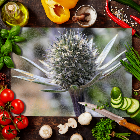 Animals & Nature. The Stylish Textured Glass Chopping Board. Mediterranean Sea Holy Flower. Brodick Castle Gardens. Isle of Arran. Scotland.