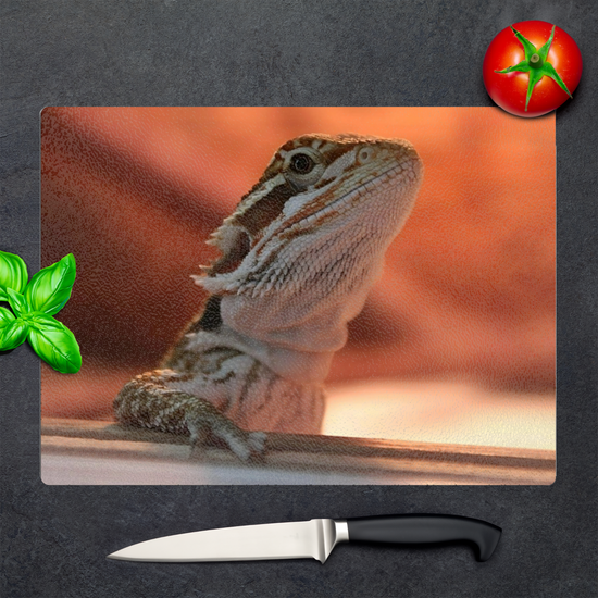 Animals & Nature. The Stylish Textured Glass Chopping Board. Bearded Dragon. Varna. Bulgaria.