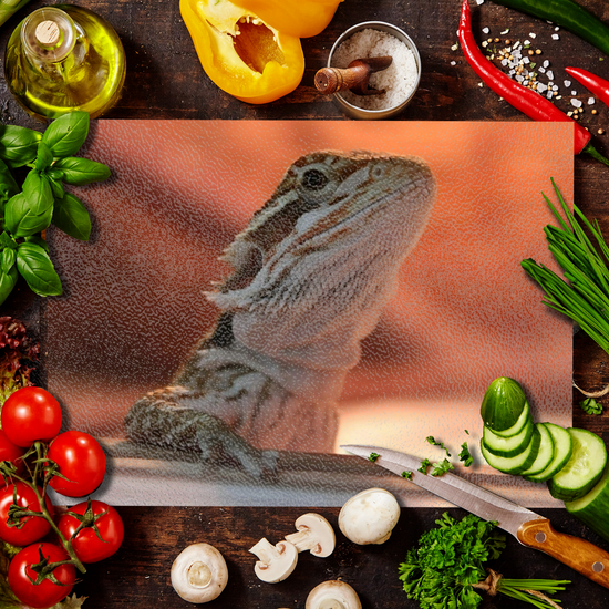 Animals & Nature. The Stylish Textured Glass Chopping Board. Bearded Dragon. Varna. Bulgaria.