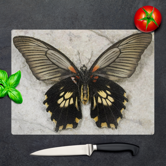 Animals & Nature. The Stylish Textured Glass Chopping Board. Butterfly House. Varna. Bulgaria.