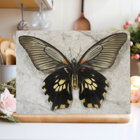 Animals & Nature. The Stylish Textured Glass Chopping Board. Butterfly House. Varna. Bulgaria.