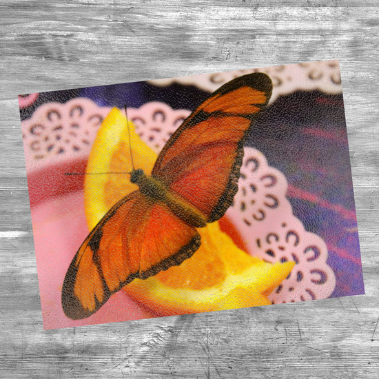 Animals & Nature. The Stylish Textured Glass Chopping Board. Butterfly House. Varna. Bulgaria.