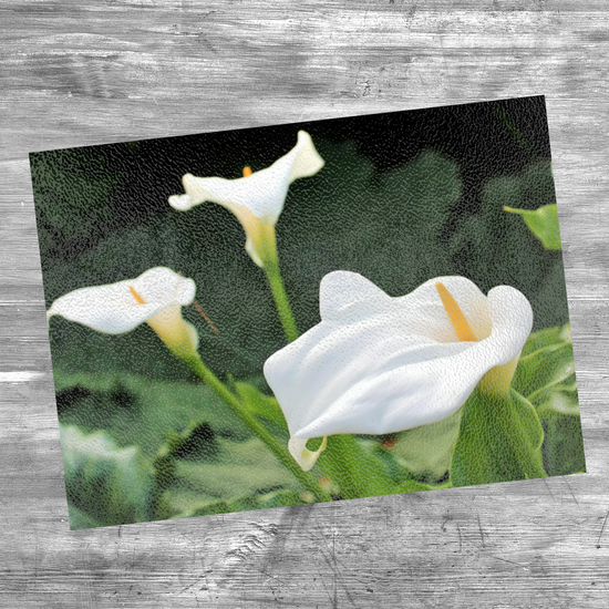 Animals & Nature. The Stylish Textured Glass Chopping Board. Calla Lily Flower. Brodick Castle Gardens. Isle of Arran. Scotland.