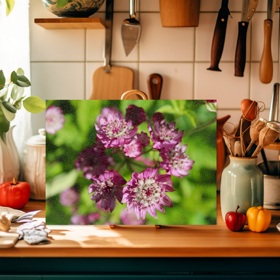Animals & Nature. The Stylish Textured Glass Chopping Board. Astrantia Major Flower. Brodick  Castle Gardens. Isle of Arran. Scotland.