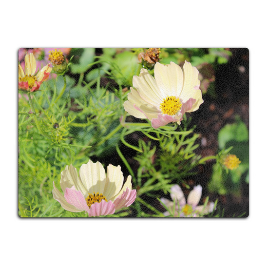 Animals & Nature. The Stylish Textured Glass Chopping Board. Cosmos Bipinnatus Flower. Brodick Castle Gardens. Isle of Arran. Scotland.