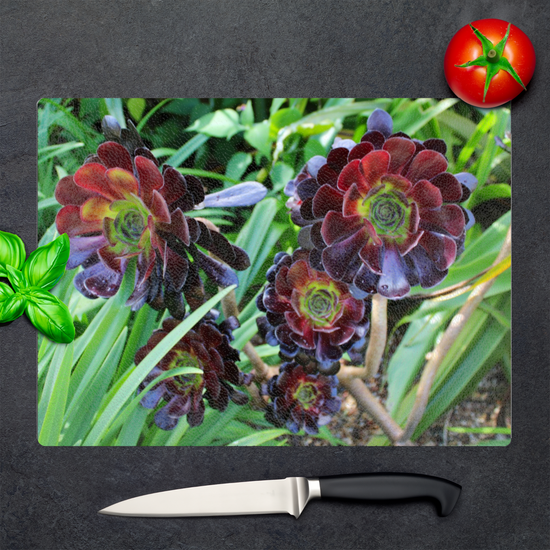Animals & Nature. The Stylish Textured Glass Chopping Board. Aeonium Killmanjaro Flower. Brodick Castle Gardens. Isle of Arran. Scotland.