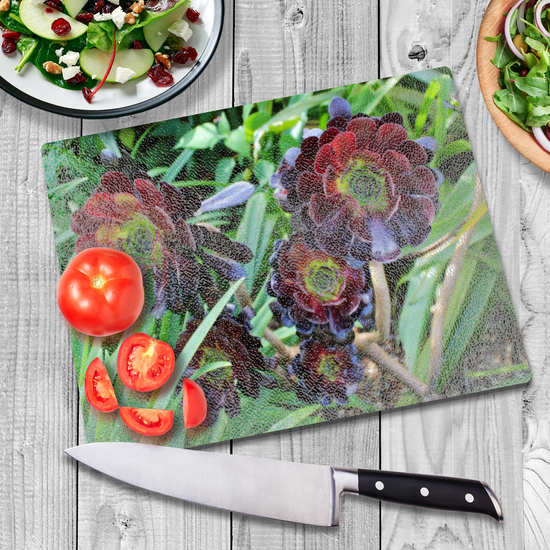 Animals & Nature. The Stylish Textured Glass Chopping Board. Aeonium Killmanjaro Flower. Brodick Castle Gardens. Isle of Arran. Scotland.