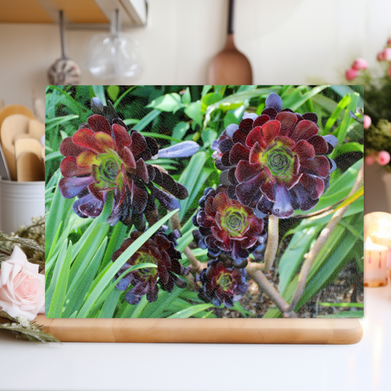 Animals & Nature. The Stylish Textured Glass Chopping Board. Aeonium Killmanjaro Flower. Brodick Castle Gardens. Isle of Arran. Scotland.