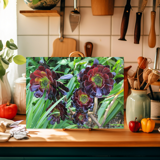 Animals & Nature. The Stylish Textured Glass Chopping Board. Aeonium Killmanjaro Flower. Brodick Castle Gardens. Isle of Arran. Scotland.