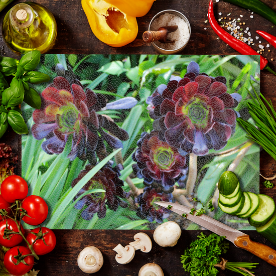 Animals & Nature. The Stylish Textured Glass Chopping Board. Aeonium Killmanjaro Flower. Brodick Castle Gardens. Isle of Arran. Scotland.