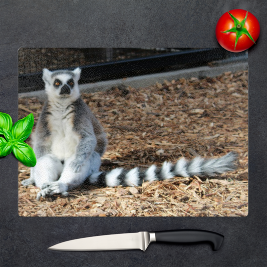 The Stylish Textured Glass Chopping Board. The Ring Tailed Lemur. Yorkshire Wildlife Park. Doncaster. Yorkshire. England.