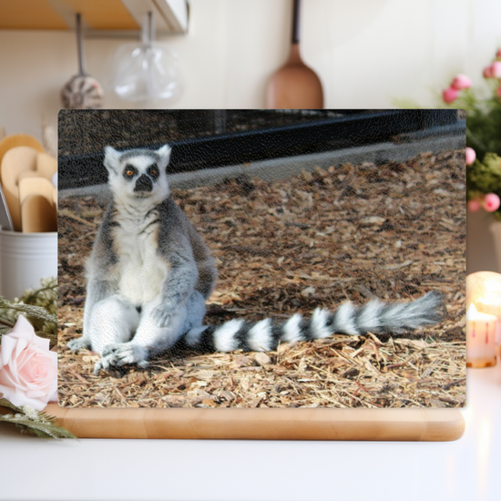 Animals & Nature. The Stylish Textured Glass Chopping Board. The Ring Tailed Lemur. Yorkshire Wildlife Park. Doncaster. Yorkshire. England.