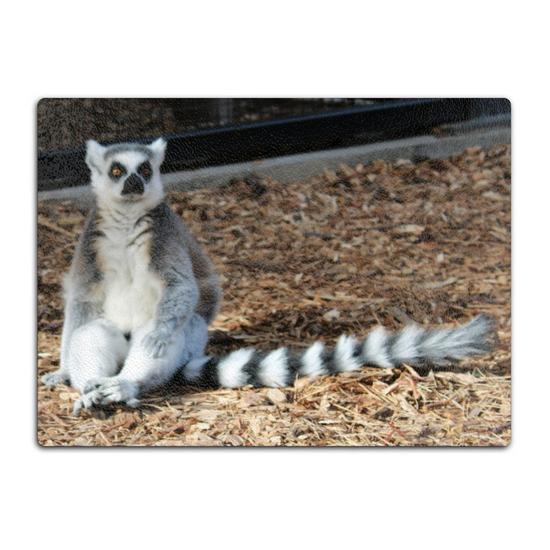 Animals & Nature. The Stylish Textured Glass Chopping Board. The Ring Tailed Lemur. Yorkshire Wildlife Park. Doncaster. Yorkshire. England.