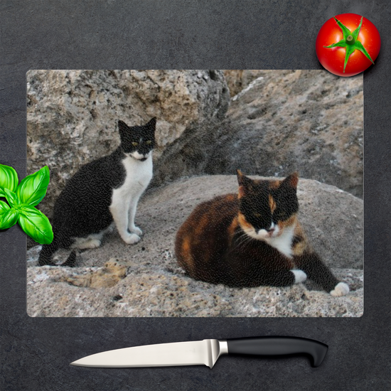 Animals & Nature. The Stylish Textured Glass Chopping Board. Wild Cats of Rhodes. Greece.