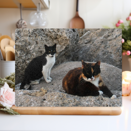 Animals & Nature. The Stylish Textured Glass Chopping Board. Wild Cats of Rhodes. Greece.