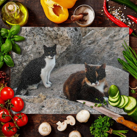 Animals & Nature. The Stylish Textured Glass Chopping Board. Wild Cats of Rhodes. Greece.