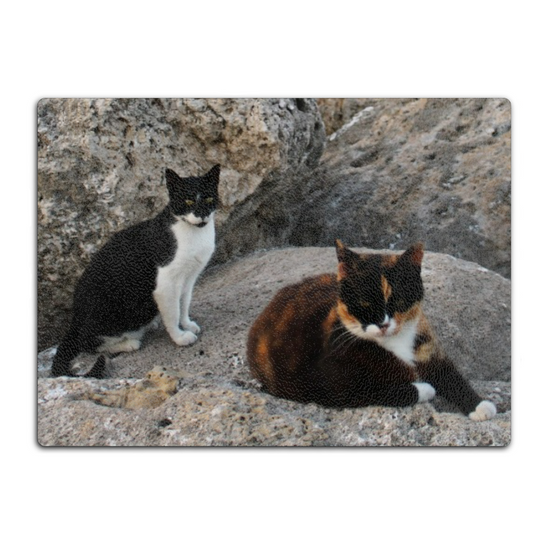 Animals & Nature. The Stylish Textured Glass Chopping Board. Wild Cats of Rhodes. Greece.