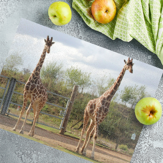 Animals & Nature. The Stylish Textured Glass Chopping Board. Yorkshire Wildlife Park. Doncaster. Yorkshire. England.