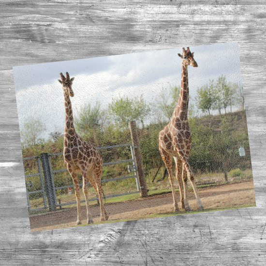 Animals & Nature. The Stylish Textured Glass Chopping Board. Yorkshire Wildlife Park. Doncaster. Yorkshire. England.
