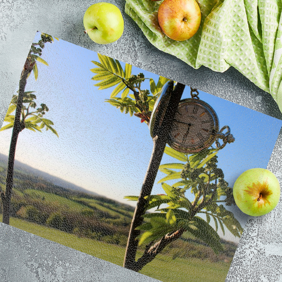 The Stylish Textured  Glass Chopping Board. Grange Golf Course.  Rotherham. South Yorkshire. England.