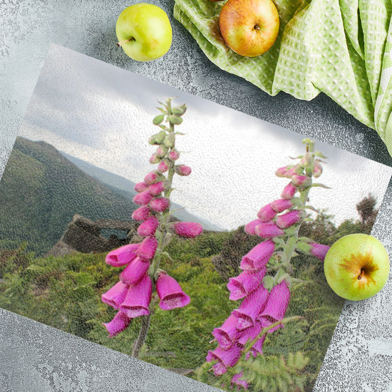The Stylish Textured Glass Chopping Board. Bamford Edge. Peak District National Park. Derbyshire. England.
