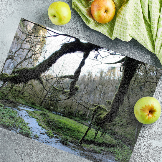 The Stylish Textured Glass Chopping Board. Chee Dale Nature Reserve. Peak District National Park. Derbyshire. England.