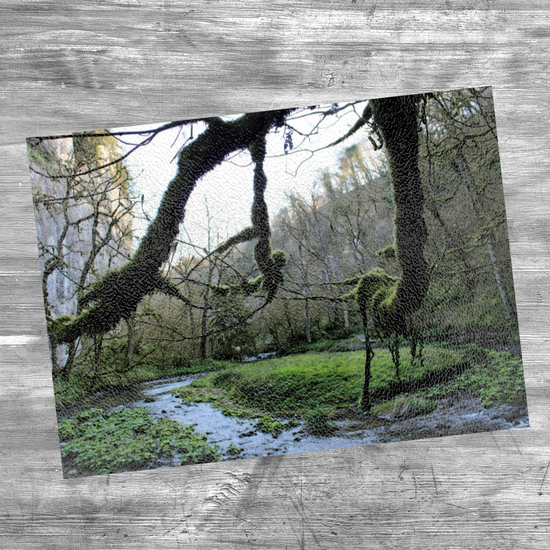 The Stylish Textured Glass Chopping Board. Chee Dale Nature Reserve. Peak District National Park. Derbyshire. England.