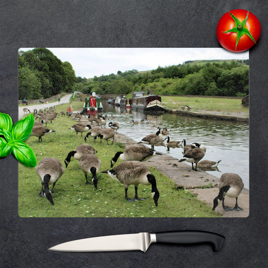 The Stylish Textured Glass Chopping Board. Bugsworth Canal Basin. Buxworth. Peak Forest Canal. Derbyshire. England.