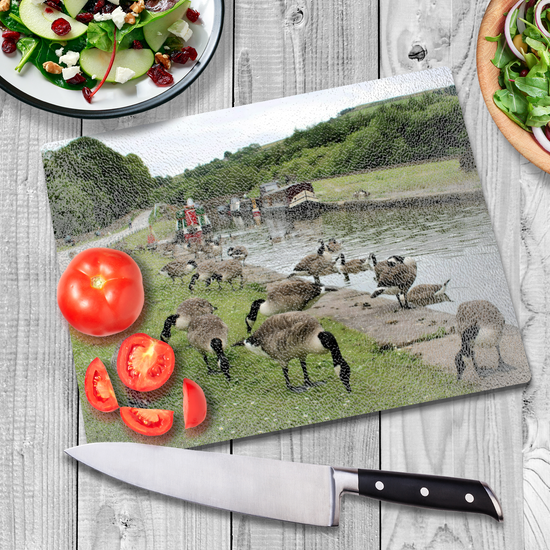 The Stylish Textured Glass Chopping Board. Bugsworth Canal Basin. Buxworth. Peak Forest Canal. Derbyshire. England.