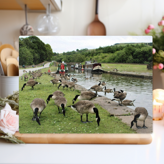The Stylish Textured Glass Chopping Board. Bugsworth Canal Basin. Buxworth. Peak Forest Canal. Derbyshire. England.