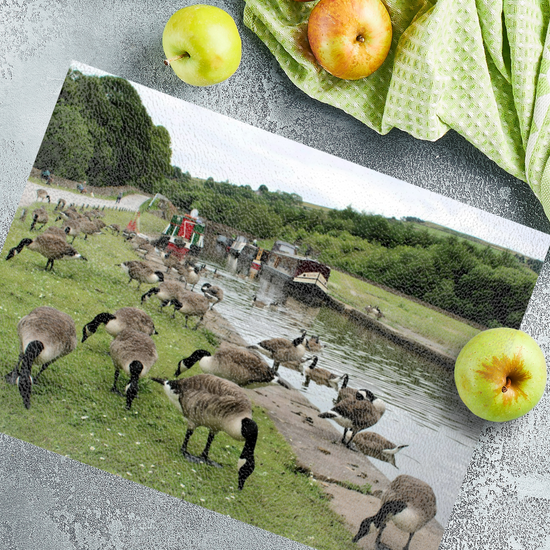 The Stylish Textured Glass Chopping Board. Bugsworth Canal Basin. Buxworth. Peak Forest Canal. Derbyshire. England.