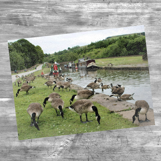 The Stylish Textured Glass Chopping Board. Bugsworth Canal Basin. Buxworth. Peak Forest Canal. Derbyshire. England.