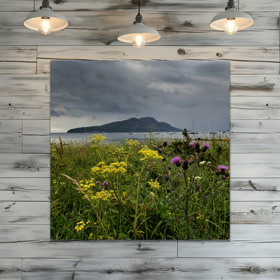 Metal Wall Art Prints. Holy Isle View. Isle of Arran. Scotland.