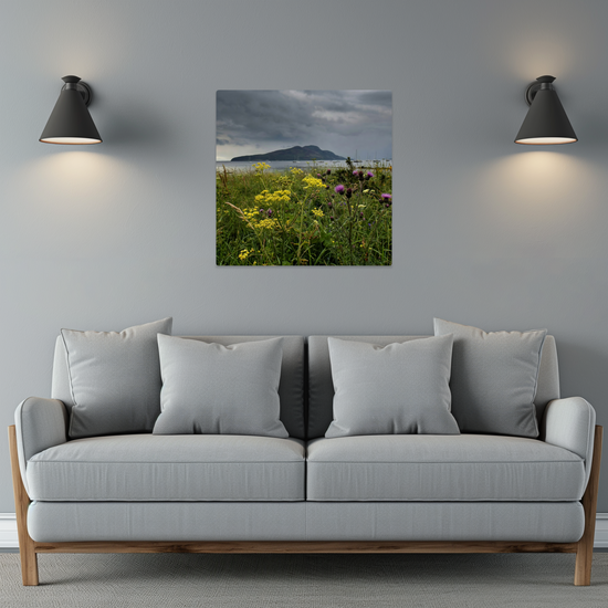 Metal Wall Art Prints. Holy Isle View. Isle of Arran. Scotland.