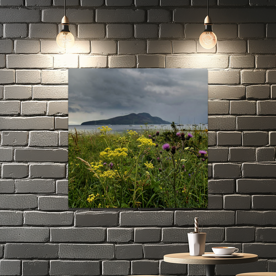 Metal Wall Art Prints. Holy Isle View. Isle of Arran. Scotland.