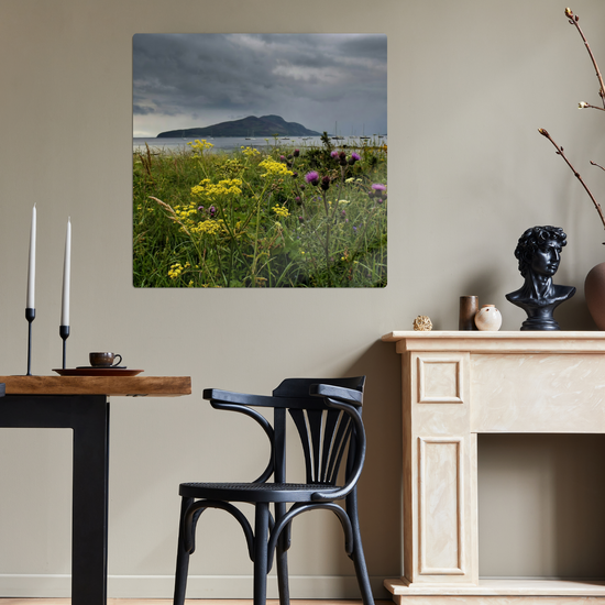 Metal Wall Art Prints. Holy Isle View. Isle of Arran. Scotland.