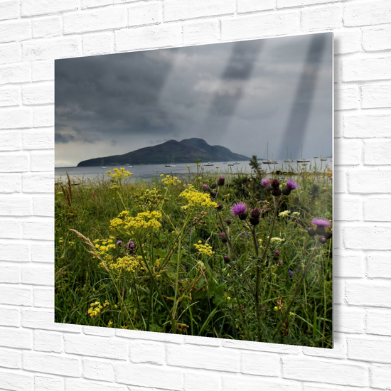 Metal Wall Art Prints. Holy Isle View. Isle of Arran. Scotland.