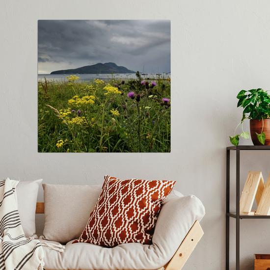 Metal Wall Art Prints. Holy Isle View. Isle of Arran. Scotland.