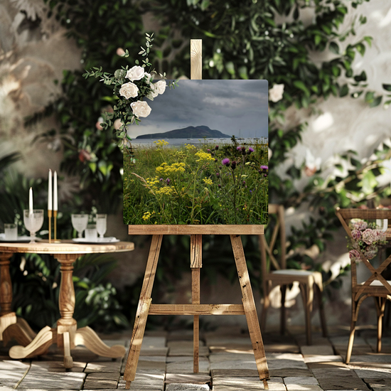 Metal Wall Art Prints. Holy Isle View. Isle of Arran. Scotland.