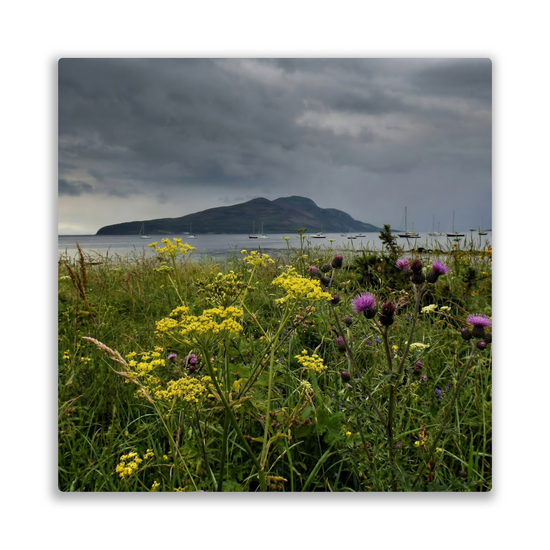Metal Wall Art Prints. Holy Isle View. Isle of Arran. Scotland.